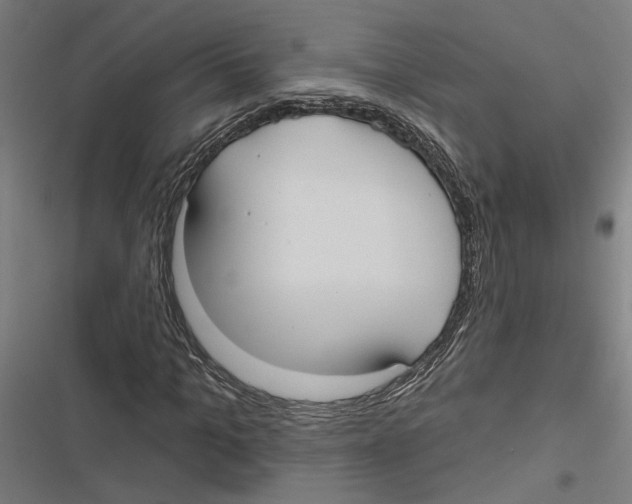 X0000116850965201001191637
