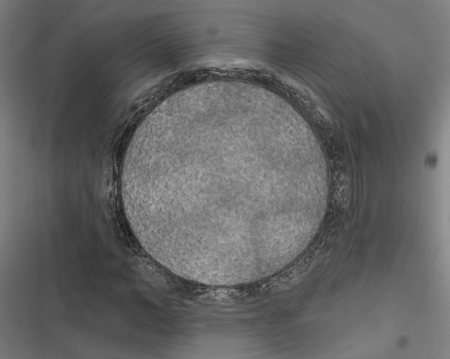 X0000116850966201001191637