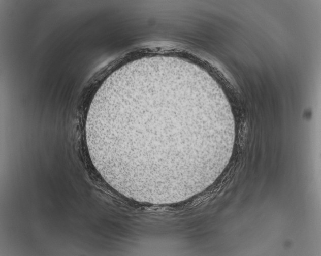 X0000116850967201001191637