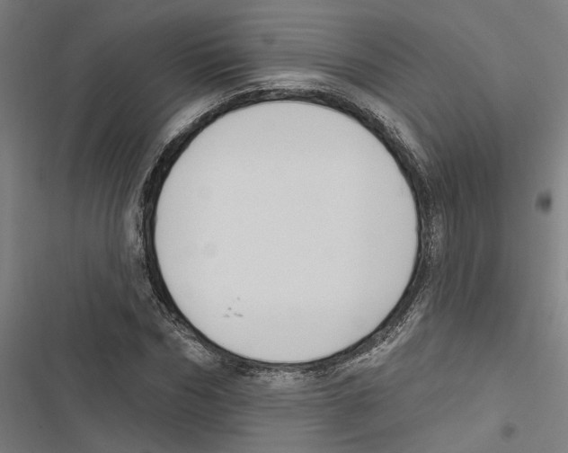 X0000116850970201001191637