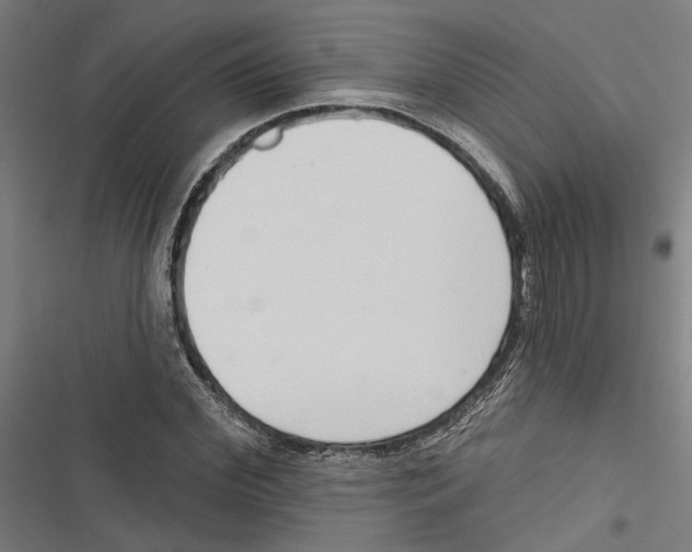 X0000116850972201001191637