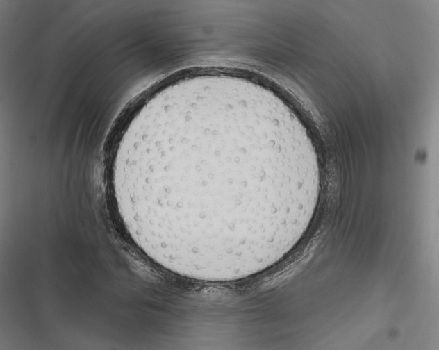 X0000116850974201001191637