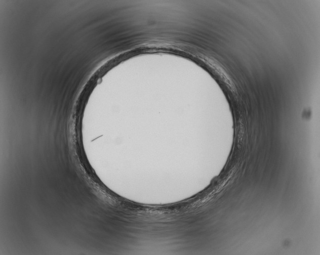 X0000116850976201001191637