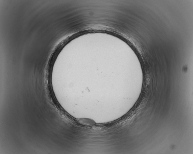 X0000116850979201001191637