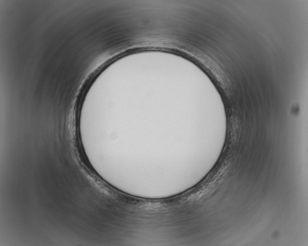 X0000116850982201001191637