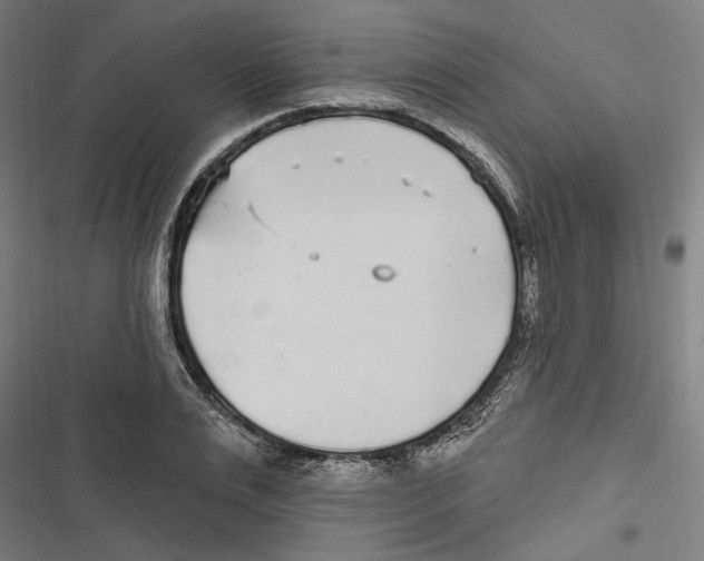 X0000116850983201001191637