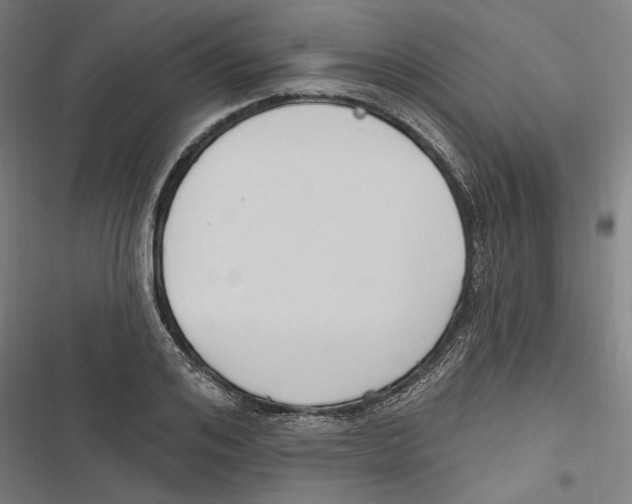 X0000116850984201001191637
