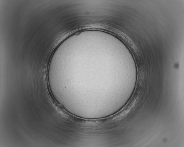 X0000116850985201001191637