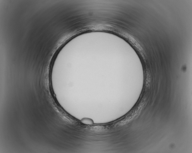 X0000116850986201001191637
