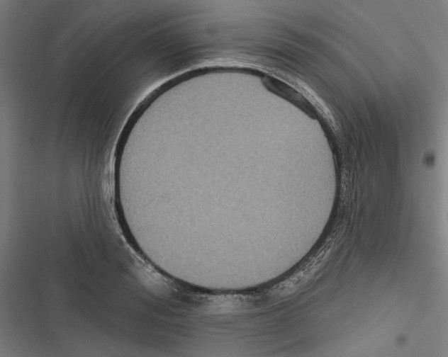 X0000116850988201001191637