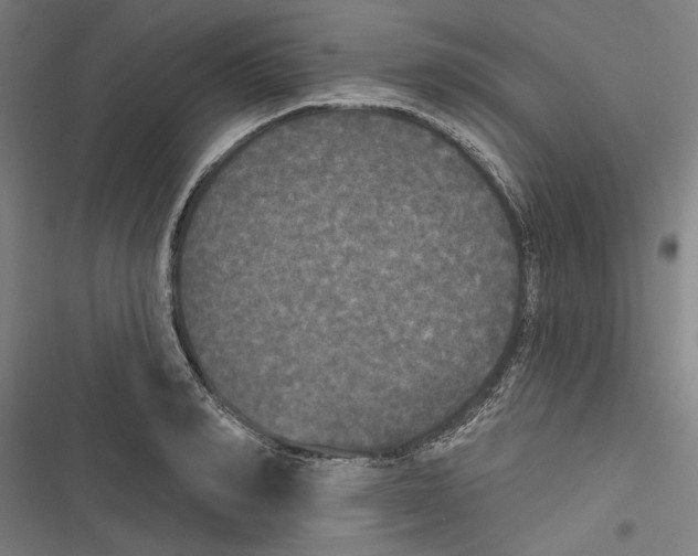 X0000116850990201001191637