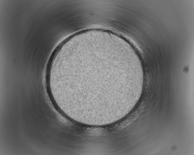 X0000116850991201001191637