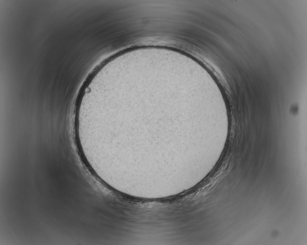 X0000116850992201001191637