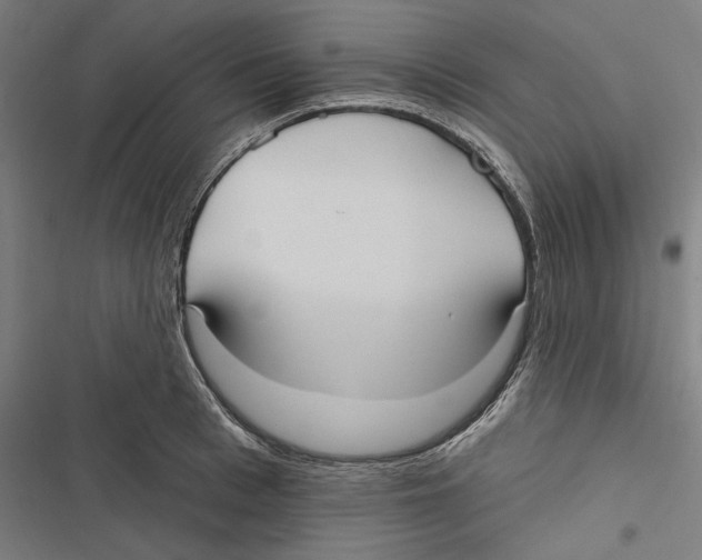 X0000116850993201001191637