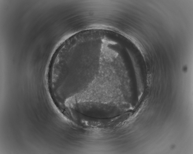 X0000116850995201001191637