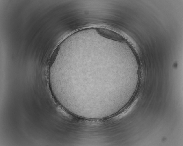 X0000116851001201001191636