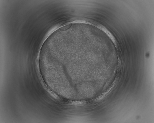 X0000116851002201001191636
