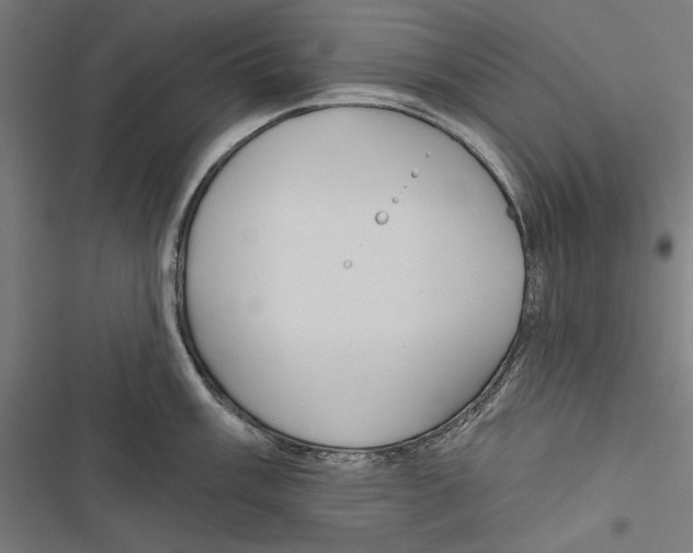 X0000116851003201001191636