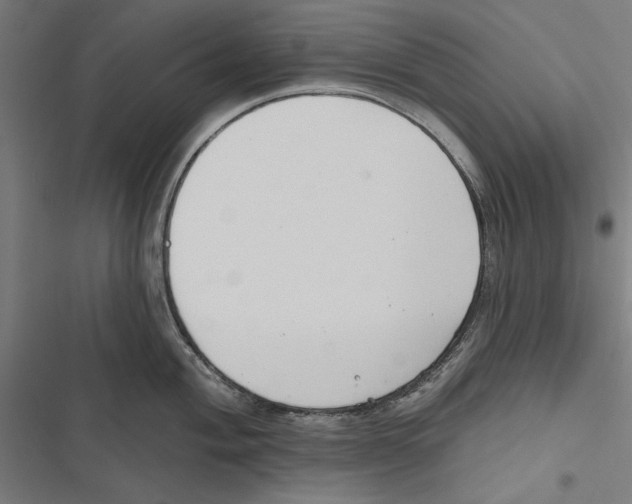 X0000116851004201001191636