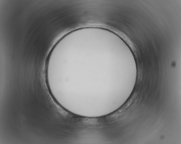 X0000116851006201001191636