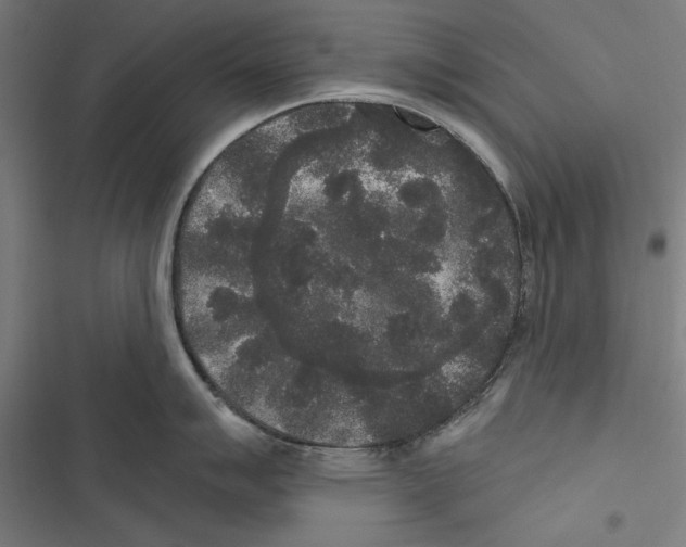 X0000116851007201001191636
