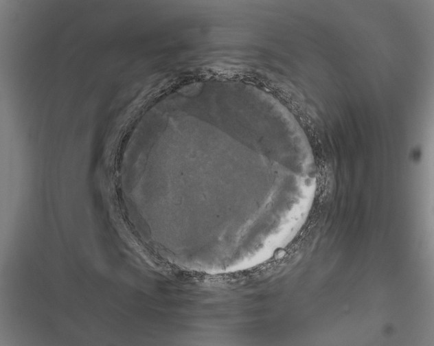 X0000116851009201001191636