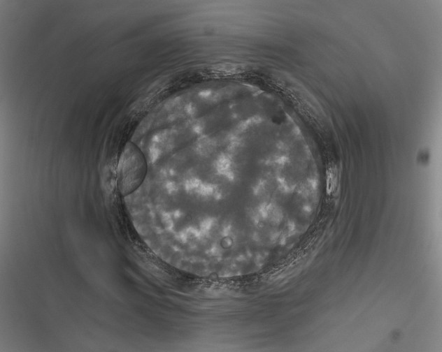 X0000116851011201001191636