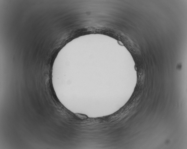 X0000116851012201001191636