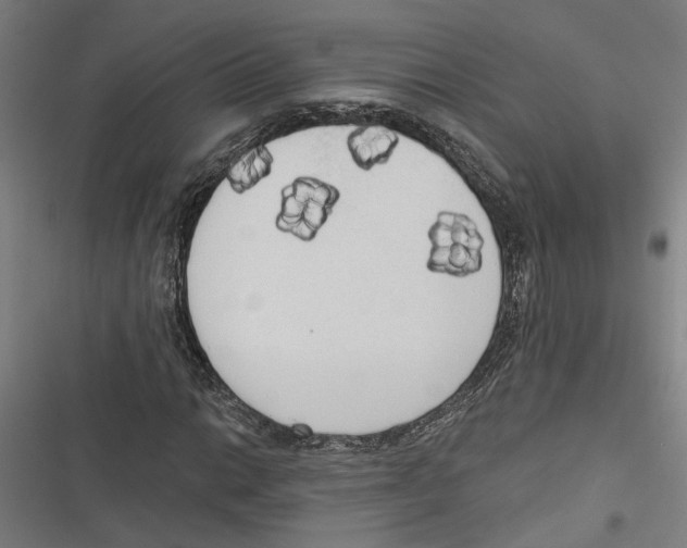 X0000116851014201001191636