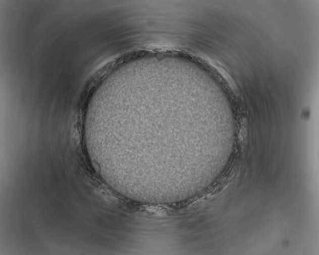 X0000116851015201001191636
