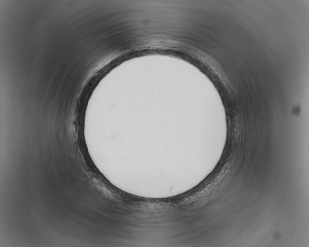 X0000116851018201001191636