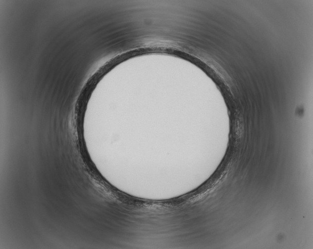 X0000116851022201001191636