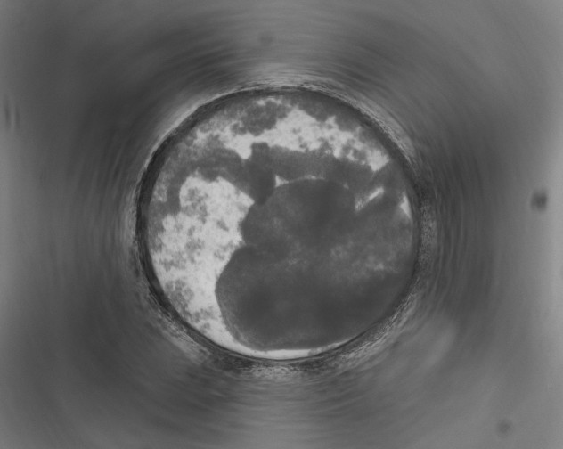 X0000116851023201001191636