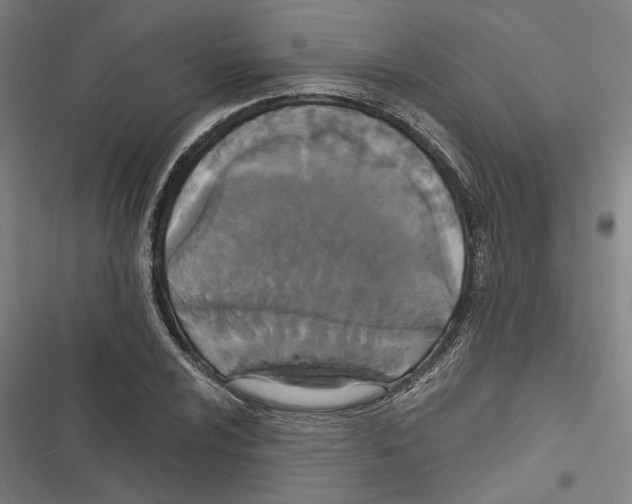 X0000116851024201001191636