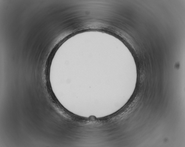 X0000116851026201001191636