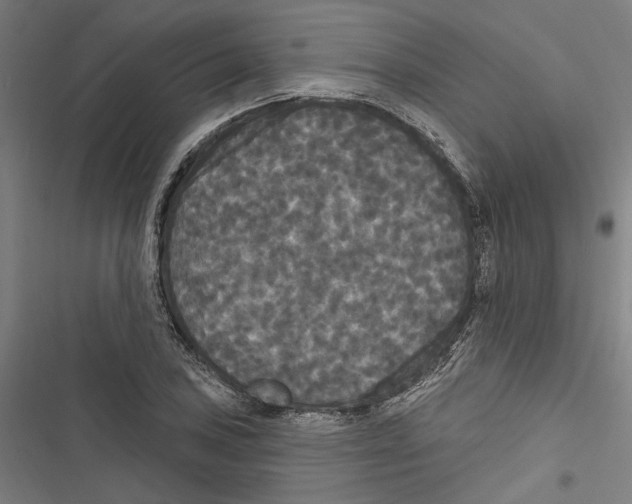 X0000116851027201001191636