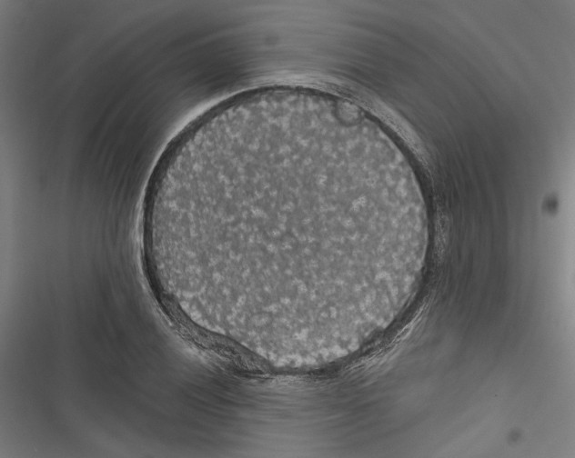 X0000116851028201001191636