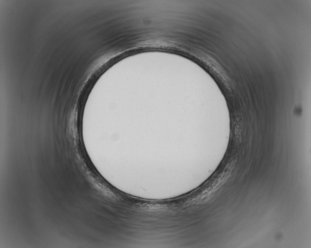 X0000116851030201001191636
