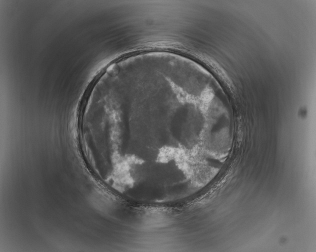 X0000116851031201001191636