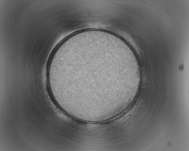 X0000116851032201001191636