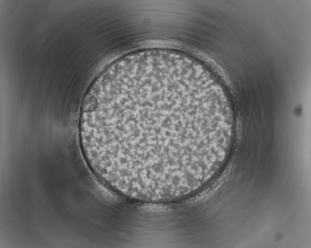 X0000116851033201001191636
