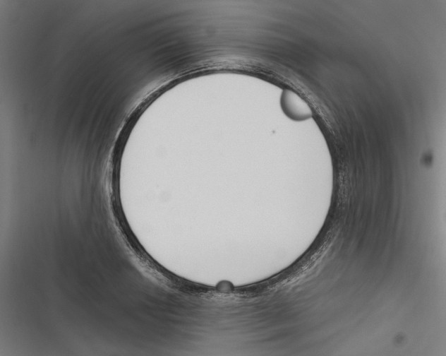 X0000116851034201001191636