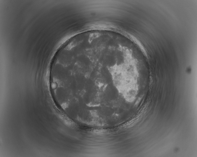 X0000116851035201001191636