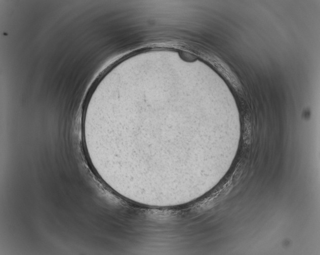 X0000116851036201001191636