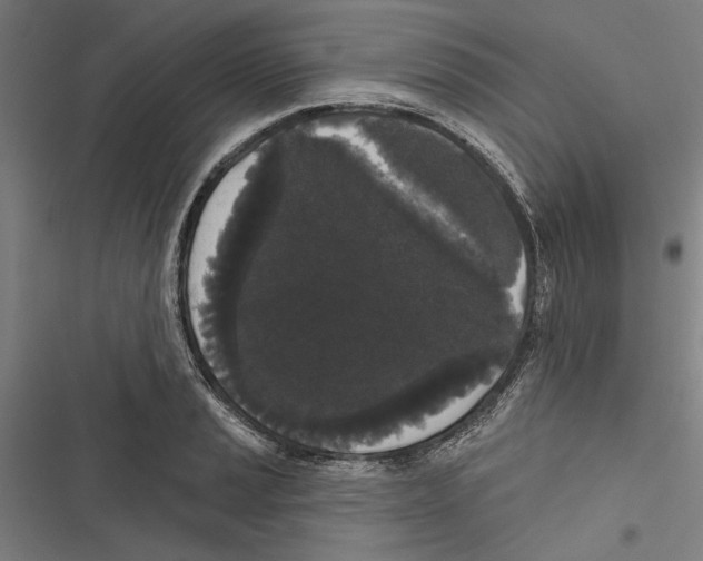 X0000116851037201001191636