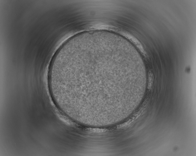 X0000116851039201001191636