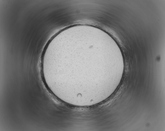 X0000116851040201001191636