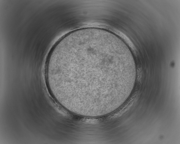 X0000116851043201001191636