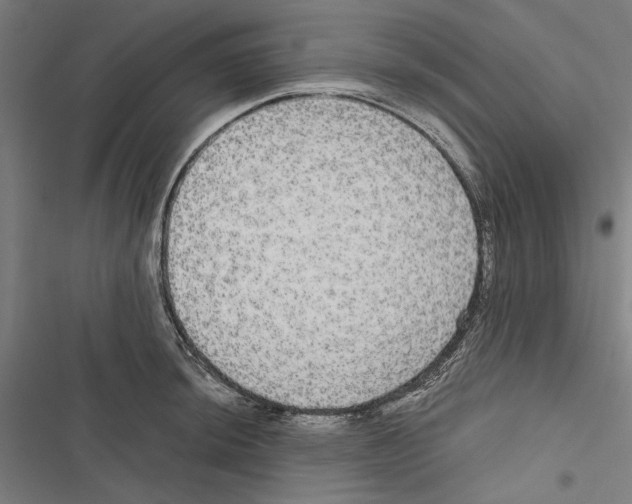 X0000116851044201001191636