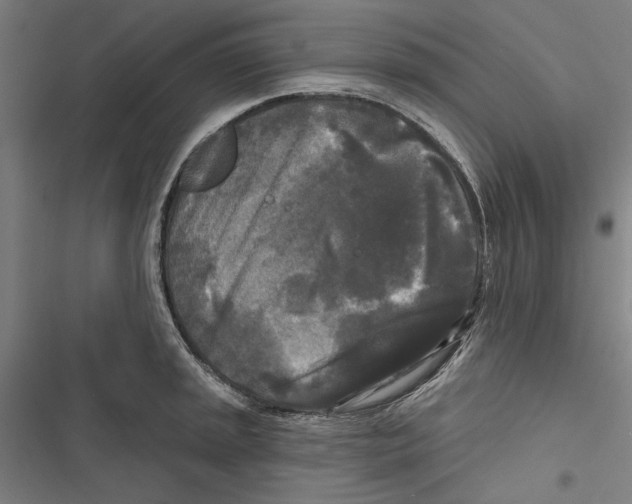 X0000116851045201001191636